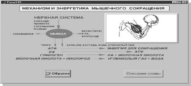 : http://lib.sportedu.ru/Press/TPFK/2001N5/Images/Volkov3.jpg